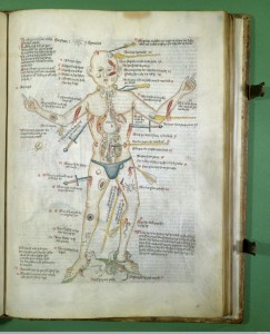 L0000839 Wound-man with injuries, legend in German. Credit: Wellcome Library, London. Wellcome Images images@wellcome.ac.uk http://wellcomeimages.org Wound-man with injuries, legend in German. Ink and Watercolour Circa 1420-30 MS 49 Apocalypse, (The), [etc.]. Apocalypsis S. Johannis cum glossis et Vita S. Johannis; Ars Moriendi, etc.; Anatomical, medical, texts, theological moral and allegorical 'exempla' and extracts, a few in verse. Published: - Copyrighted work available under Creative Commons Attribution only licence CC BY 4.0 http://creativecommons.org/licenses/by/4.0/