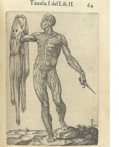 図9　Juan Valverde de Amusco, Historia de la composicion del cuerpo humano (Rome, 1560) より。