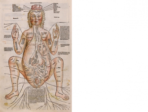 妊婦の解剖図の手彩色の版画。『医学選集』Fasciculus Medicinae (Venice, 1491) より